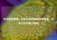 逆战枪林弹雨，山东兄弟的南区热血青春，山东大区归属大揭秘！