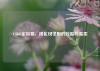 CSGO定级赛，段位规律里的残酷与温柔
