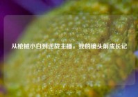 从枪械小白到逆战主播，我的镜头前成长记
