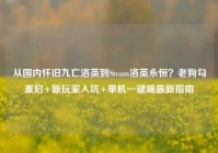 从国内怀旧九亡洛英到Steam洛英永恒？老狗勾重启+新玩家入坑+单机一键端最新指南