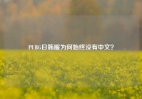 PUBG日韩服为何始终没有中文？