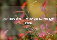 CSGO到底免费吗？一文讲透免费版、付费版核心区别