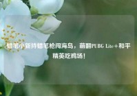 蜡笔小新持蜡笔枪闯海岛，萌翻PUBG Lite+和平精英吃鸡场！