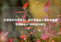 沙漠里的可爱暴击！和平精英仙人掌转盘萌趣外观戳心巴 附实用小用法