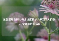 王者荣耀鲁班七号全维度教学，从新手入门到carry全场的进阶指南