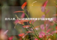 白刀入戏，CSGO战场的纯粹美学与玩家精神