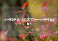 CSGO里蛰伏枪火的翻盘利刃——M4A1卧龙怎么样？