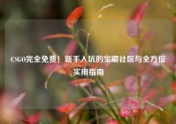 CSGO完全免费！新手入坑的宝藏社区与全方位实用指南