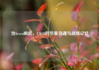 当Seven响起，CSGO的节奏灵魂与战场记忆