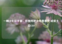 一颗CF土豆手雷，炸醒网吧少年青春史 成就土豆CEO