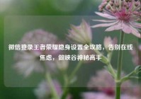 微信登录王者荣耀隐身设置全攻略，告别在线焦虑，做峡谷神秘高手