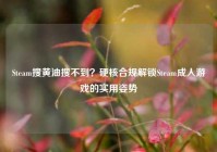 Steam搜黄油搜不到？硬核合规解锁Steam成人游戏的实用姿势