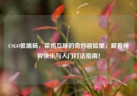 CSGO低端局，菜鸡互啄的奇妙冒险里，藏着纯粹快乐与入门打法指南！