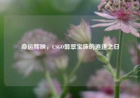 命运辉映，CSGO翡翠宝珠的追逐之日