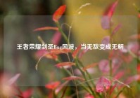 王者荣耀剑圣Bug风波，当无敌变成无解