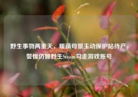 野生事物两重天，暖萌母狼主动保护站待产，警惕仿冒野生Steam勾走游戏账号