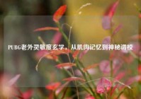 PUBG老外灵敏度玄学，从肌肉记忆到神秘调校