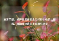 王者荣耀，被严重低估的金刀打野！性价比拉满、机动性拉满的上分黑马速学