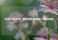 逆战三角锋刃，揭秘那把神秘的三角形枪械