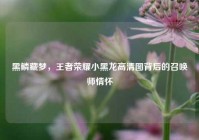 黑鳞藏梦，王者荣耀小黑龙高清图背后的召唤师情怀
