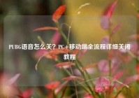 PUBG语音怎么关？PC+移动端全流程详细关闭教程