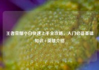 王者荣耀小白快速上手全攻略，入门必备基础知识+英雄介绍