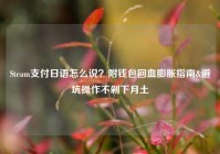 Steam支付日语怎么说？附钱包回血膨胀指南&避坑操作不剁下月土