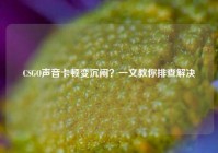 CSGO声音卡顿变沉闷？一文教你排查解决
