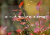急！Steam买/下好DLC找不到？这6招秒找回