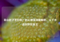 常山赵子龙归来！赵云增强深度解析，从下水道到野区新王