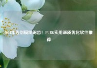 2024年告别模糊锯齿！PUBG实用画质优化软件推荐