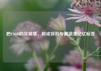 把CSGO的贝瑞塔，刻成你的专属浪漫记忆标签