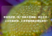 单排禁战绩≠菜！禁榜大佬揭秘，峡谷生存+上分双重密钥，王者荣耀隐藏战绩在哪看？