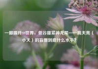 一脚踢开S9世界，低谷攥紧神龙尾——高天亮（小天）的盲僧到底什么水平？