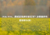 PUBG WTSG，蹲成定海神针是玄学？决赛圈问号直接焊头顶！