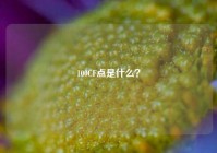 100CF点是什么？