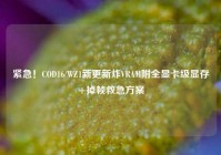 紧急！COD16/WZ1新更新炸VRAM附全显卡级显存+掉帧救急方案