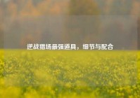逆战猎场最强道具，细节与配合