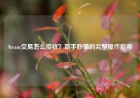 Steam交易怎么接收？新手秒懂的完整操作指南