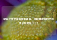 藏在逆战登录框里的青春，那段喊冲啊的热血凭证到底是什么？