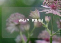 长城之下，玫瑰与剑