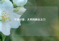 千场守望，大乔的峡谷之门