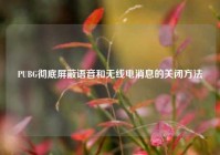 PUBG彻底屏蔽语音和无线电消息的关闭方法