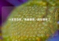 CF北京合区，青春散场，战友情未了