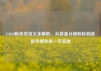 CSGO粉色双含义全解析，从装备分级粉标到皮肤外观色彩一文说透