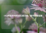 CSGO开始游戏按钮位置详解，新手必看指南