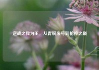 逆战之我为王，从青铜废号到枪神之巅