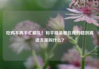 吃鸡不再手忙脚乱！和平精英都在用的稳到离谱支架叫什么？