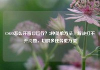 CSGO怎么开窗口运行？3种简单方法，解决打不开问题，切屏多任务更方便