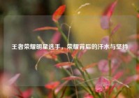 王者荣耀明星选手，荣耀背后的汗水与坚持